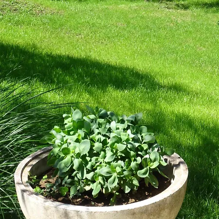 빌라 Pampas 바냐루카