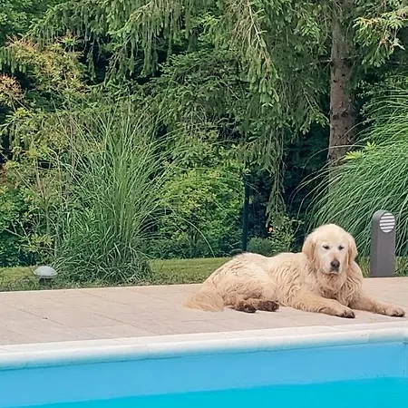 Pampas Villa