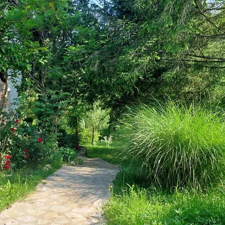 빌라 Pampas 바냐루카